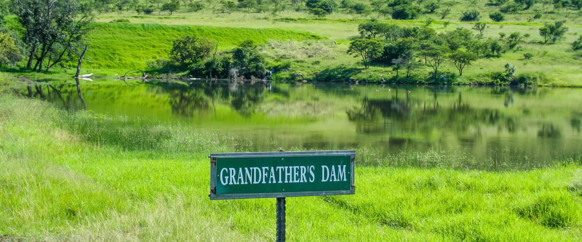 Grandfather's Dam